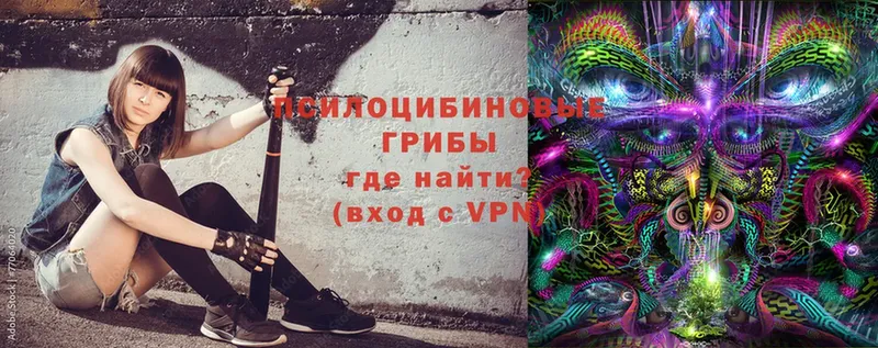 Псилоцибиновые грибы Magic Shrooms  Тюкалинск 